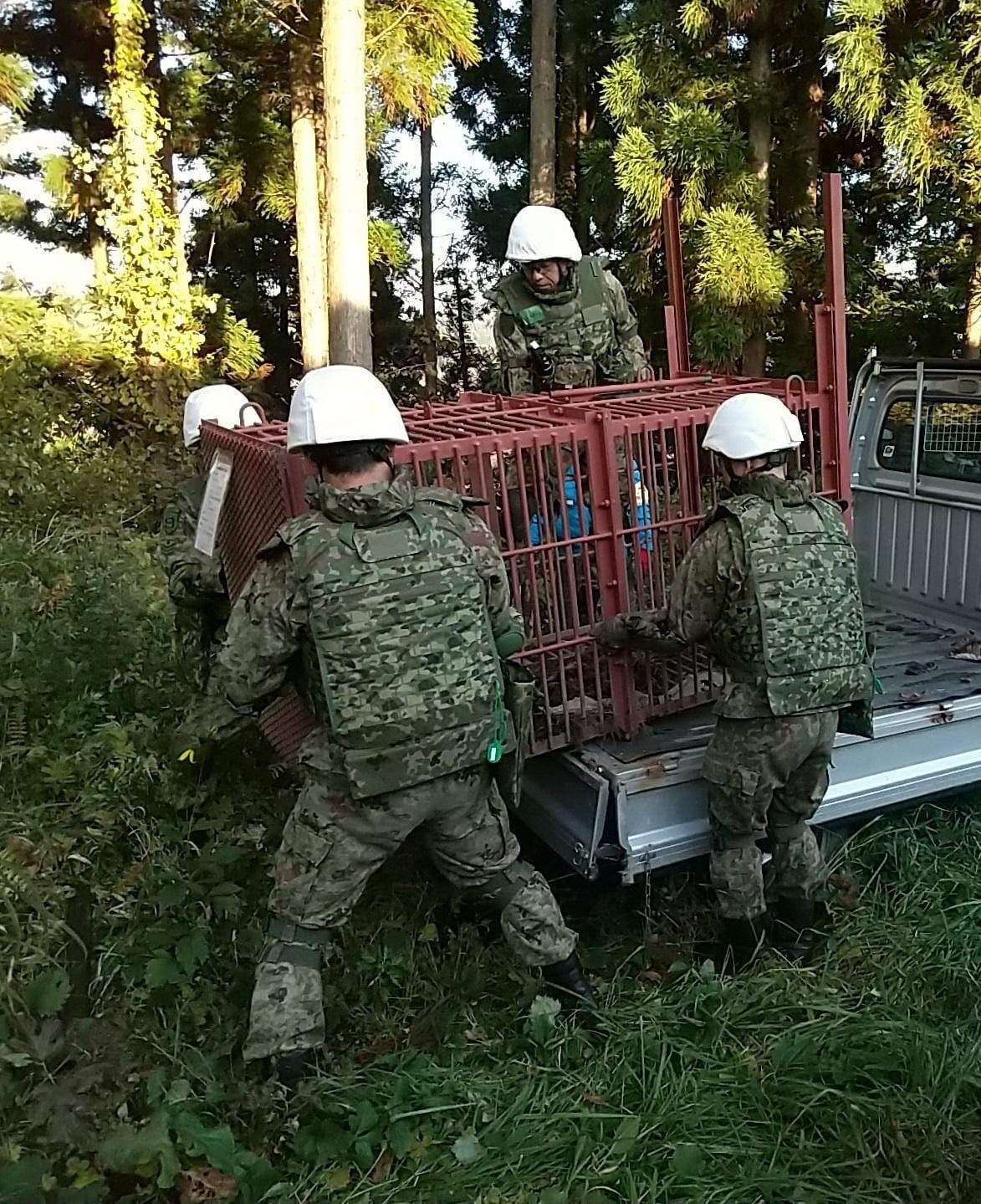 japonyada-ayilarla-mucadele-calismalarina-destek-icin-askerler-gorevlendirildi