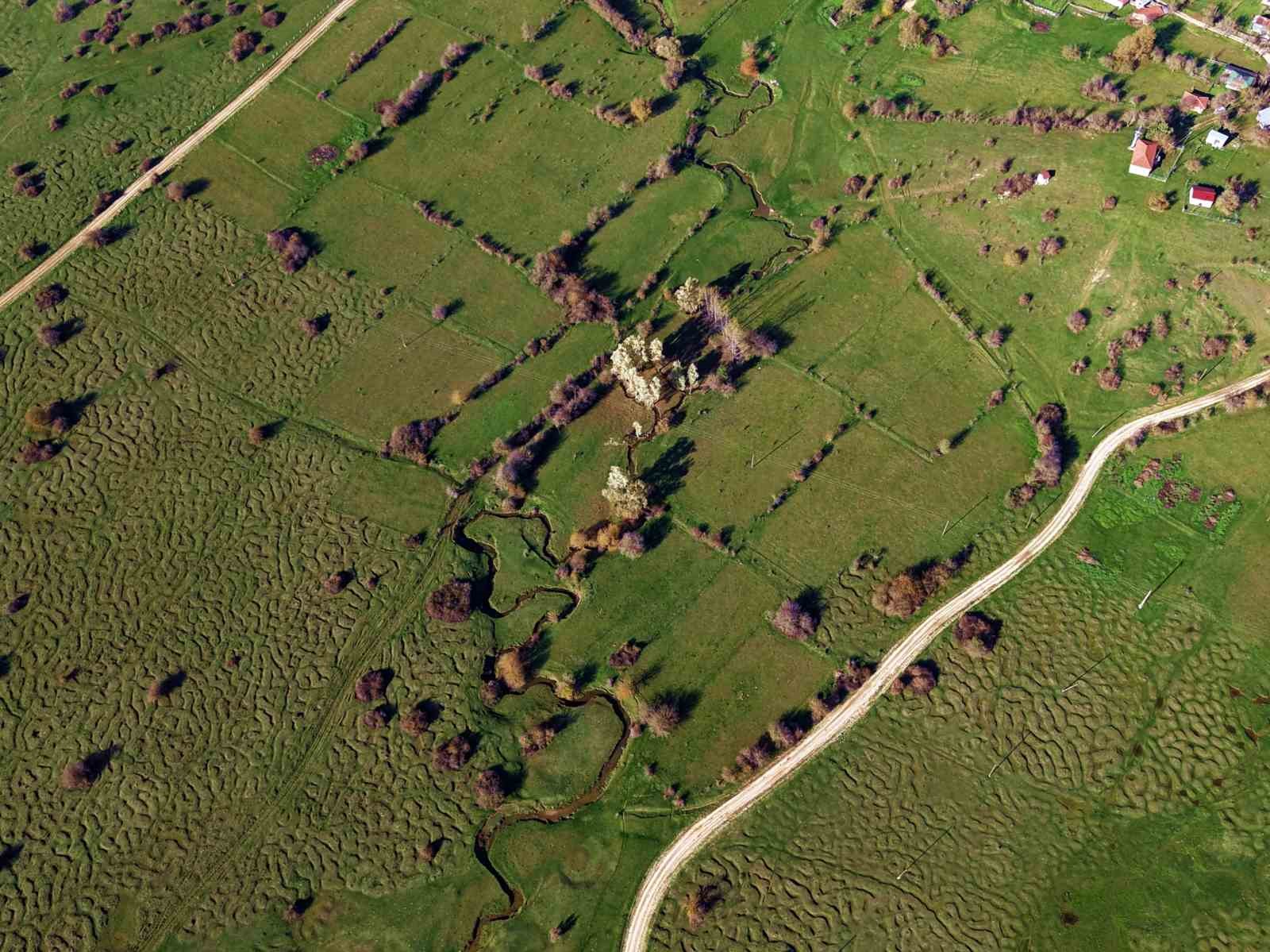 karagol-yaylasinin-essiz-menderesleri-havadan-goruntulendi