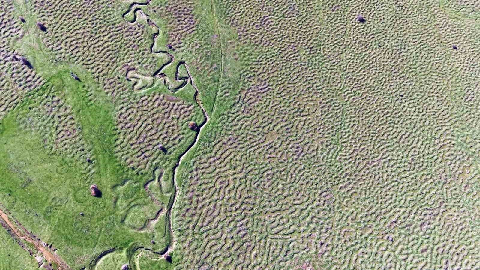 karagol-yaylasinin-essiz-menderesleri-havadan-goruntulendi