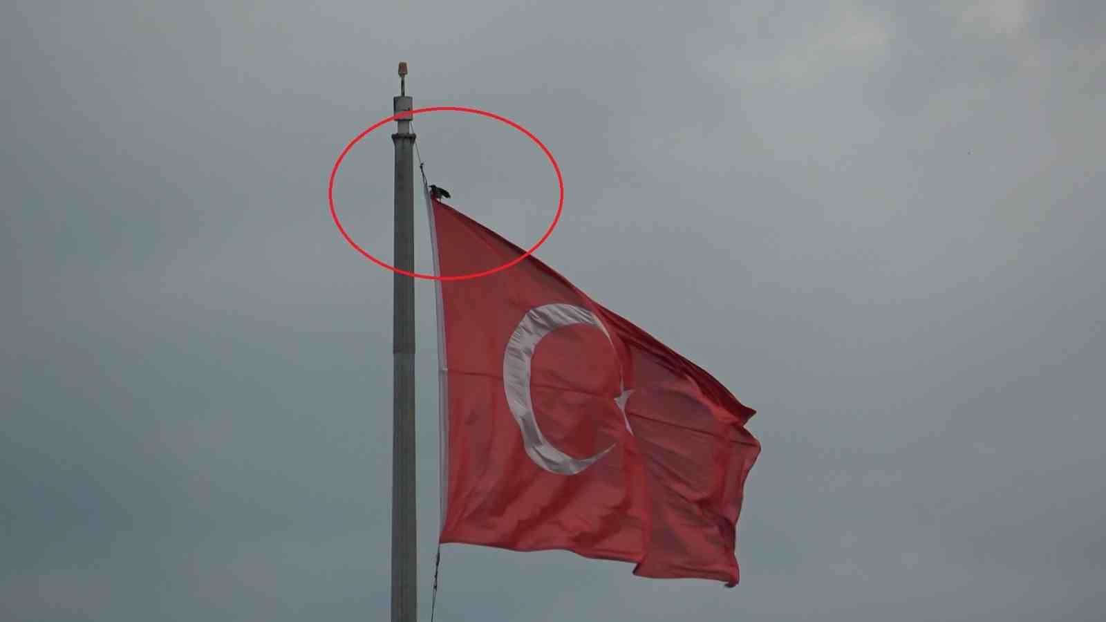 karganin-turk-bayragi-inadi