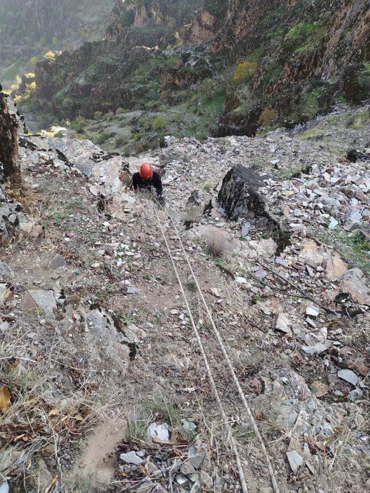 kayaliklarda-mahsur-kalan-keciler-kurtarildi