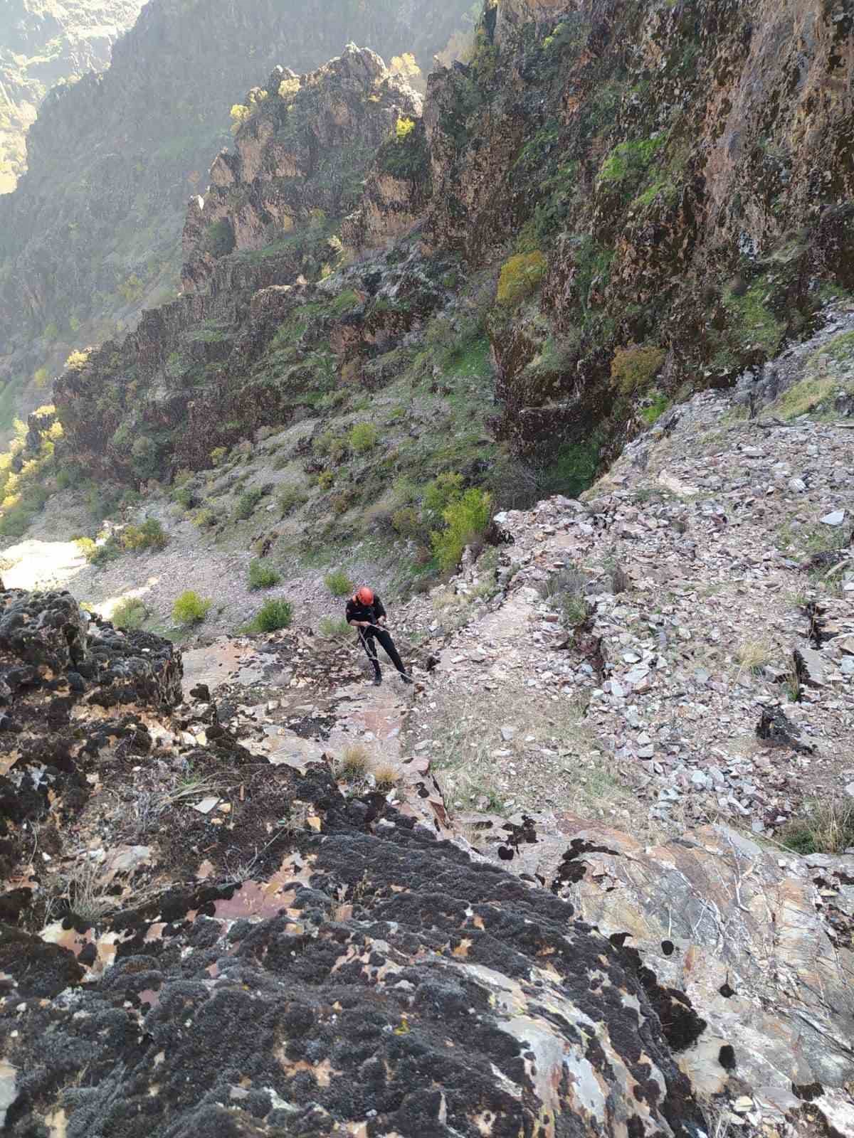 kayaliklarda-mahsur-kalan-keciler-kurtarildi