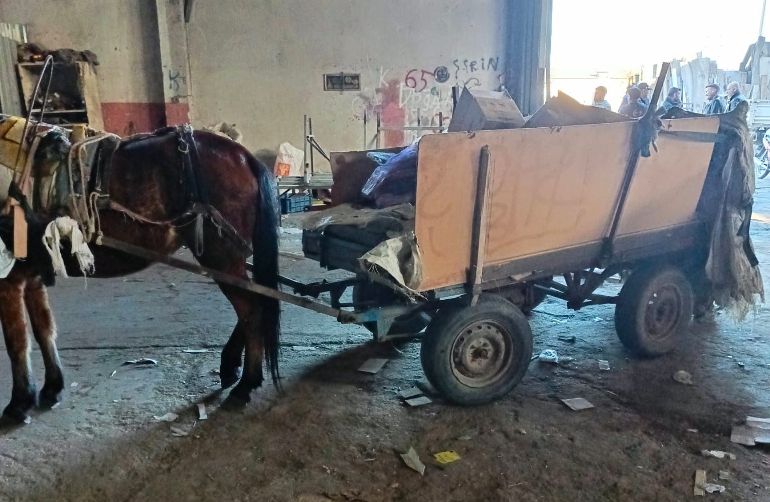 manisada-at-arabasi-operasyonu-iki-at-arabasi-trafikten-men-edildi