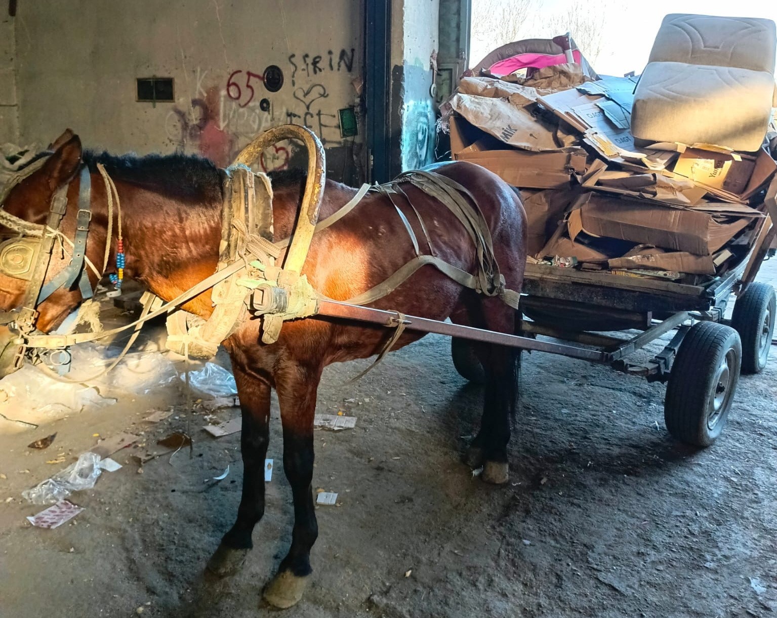 manisada-at-arabasi-operasyonu-iki-at-arabasi-trafikten-men-edildi