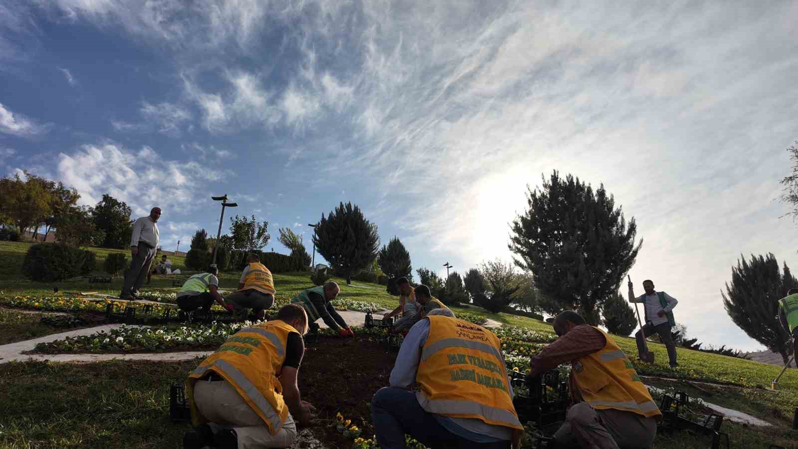 sanliurfada-400-bin-cicek-toprakla-bulusuyor