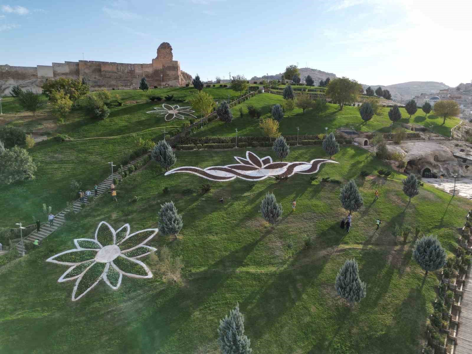 sanliurfada-400-bin-cicek-toprakla-bulusuyor