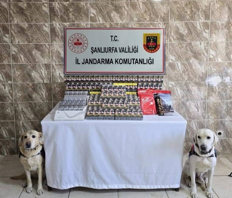 sanliurfada-5-bin-paket-kacak-sigara-ele-gecirildi