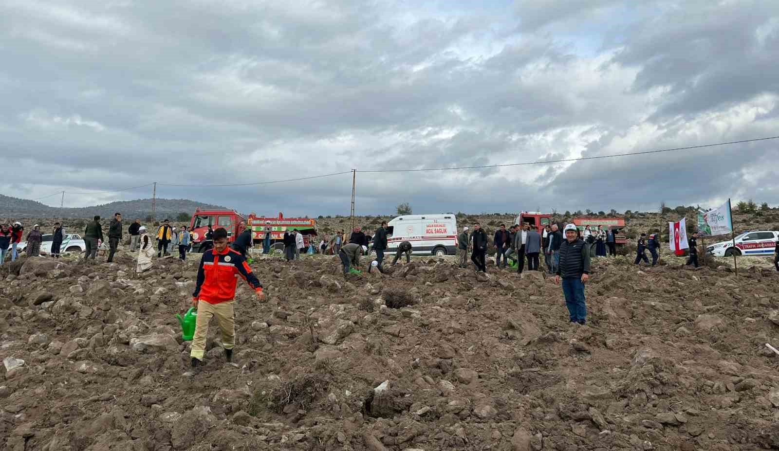 selendide-800-fidan-toprakla-bulusturuldu