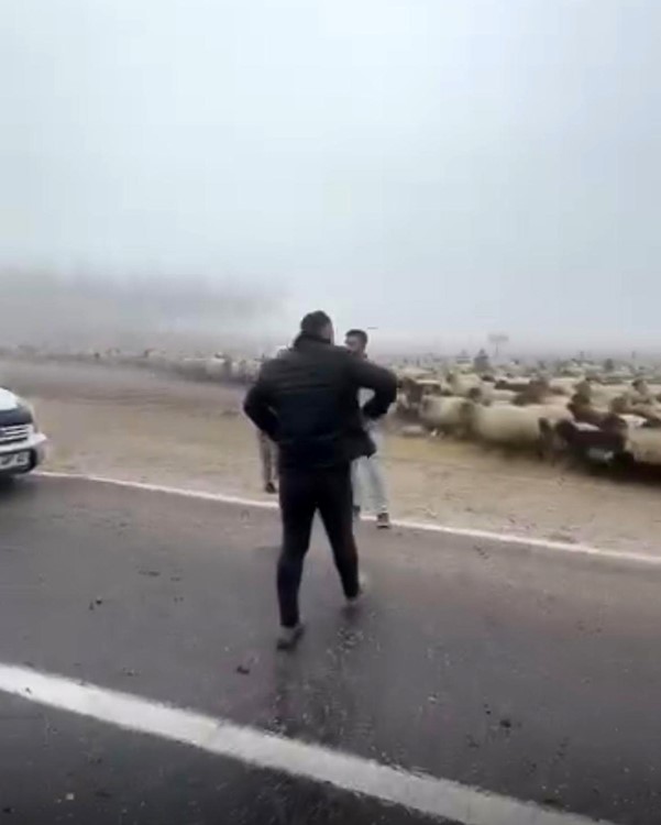 siirtte-sis-kazaya-neden-oldu-3-koyun-telef-oldu