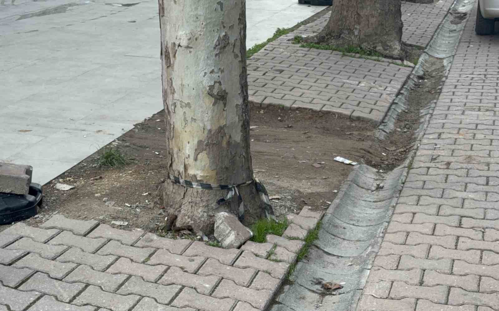 cope-atmak-icin-yerden-aldigi-kargo-posetinin-icinden-60-bin-dolar-cikti