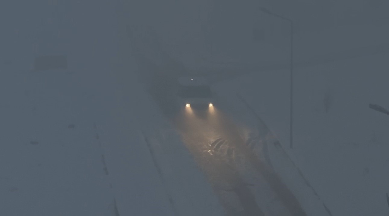 yuksekovada-yogun-sis-hayati-felc-etti