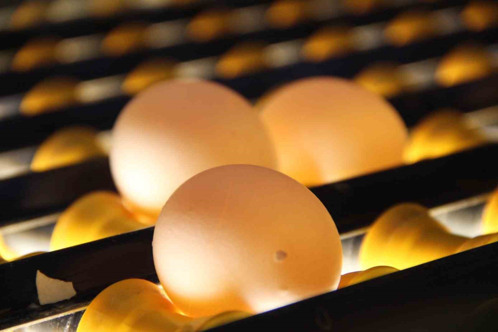 Ureticiler Yumurta Fiyatlarinin Yukselmesinden Aracilari Sorumlu Tuttu 1 Gstfn4E3