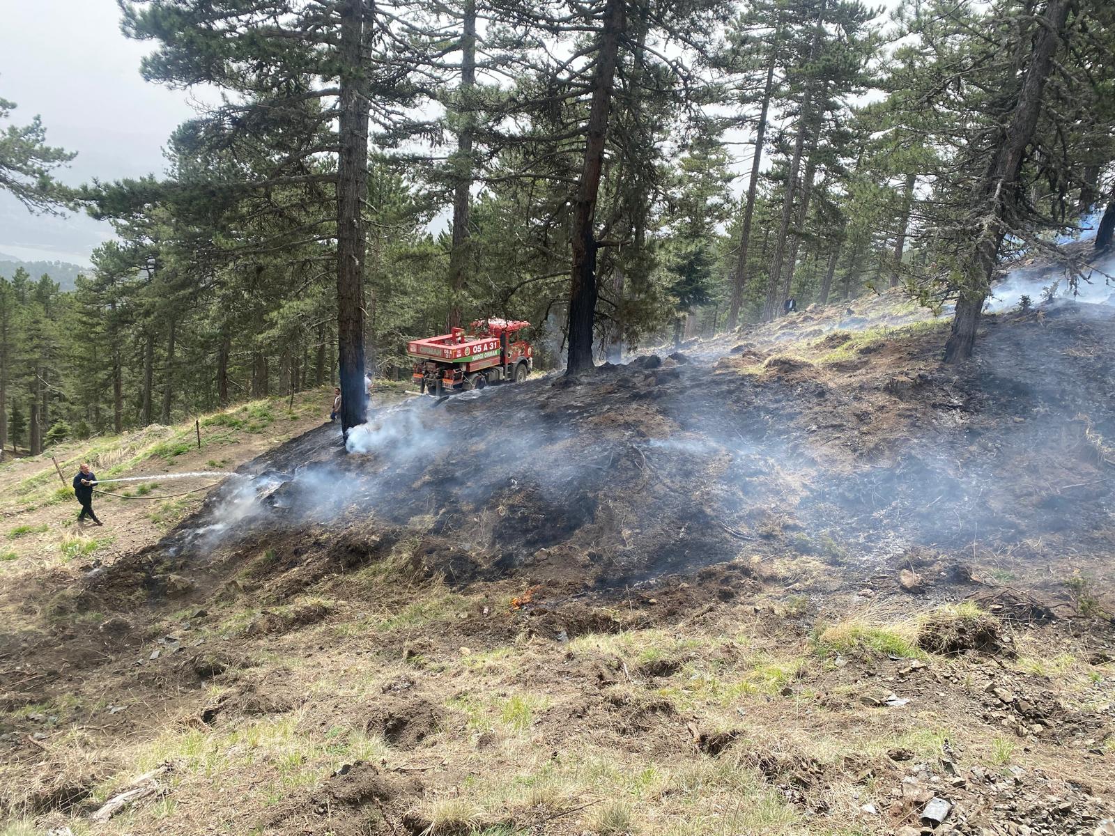 Ormanlık Alanda Başlayan Yangın Korkuttu