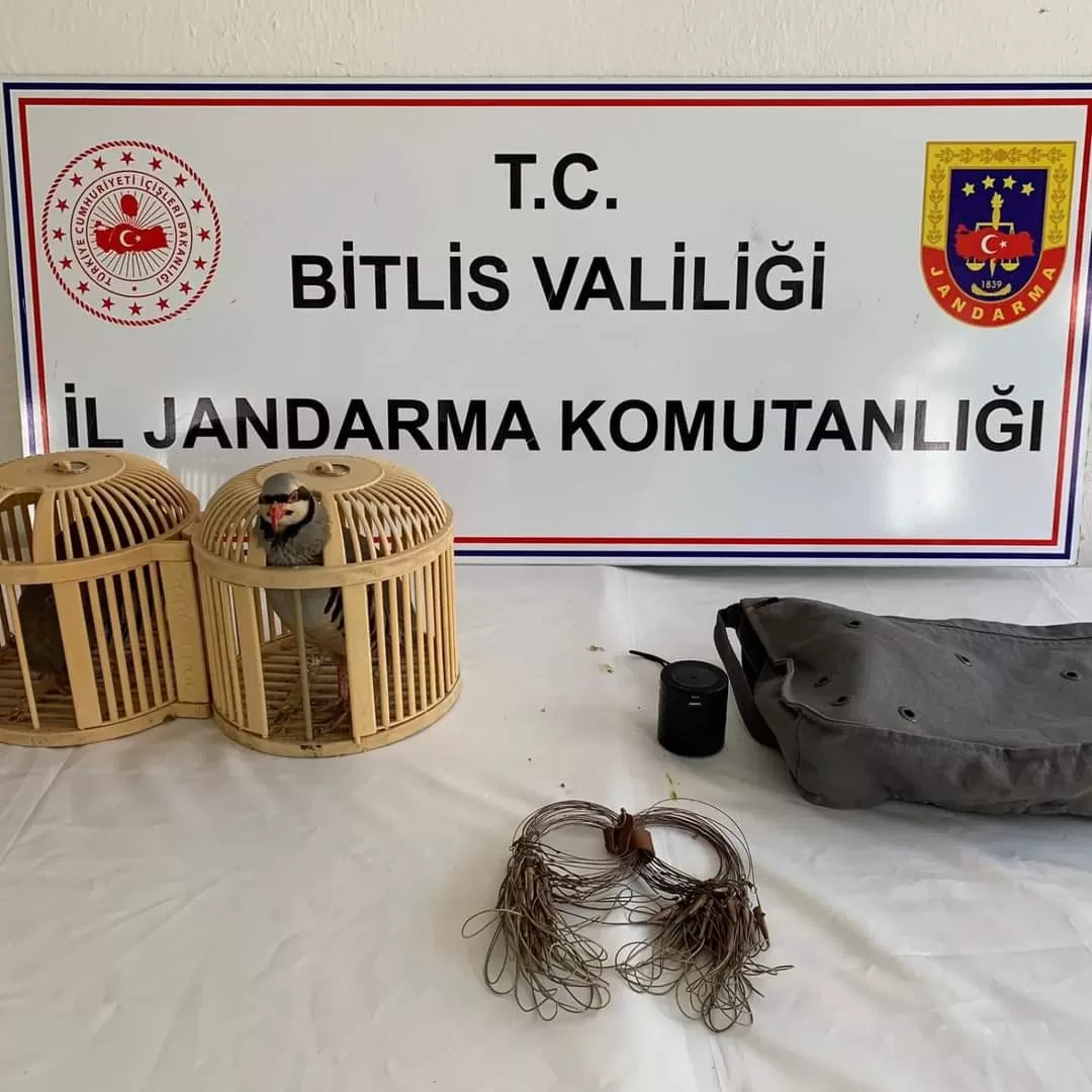 Bitlis’te Keklik Avlayan 2 Şahsa 26 Bin 635 Lira Para Cezası Uygulanacak